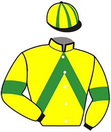 Casaque du n°6 — GAILLARDE QUERAY