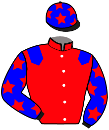 Casaque du n°5 — ILLIMITEE