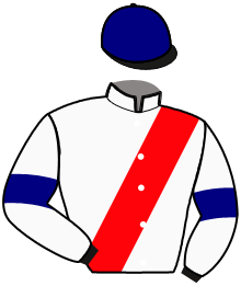 Casaque du n°2 — LEOLIO