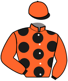 Casaque du n°5 — LARRY DU DOUBS