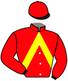 Casaque du n°4 — LIVERAINE