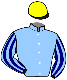 Casaque du n°6 — MARBELLA CHAFS