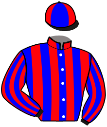 Casaque du n°2 — NYANGA