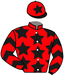 Casaque du n°1 — SIR POLO