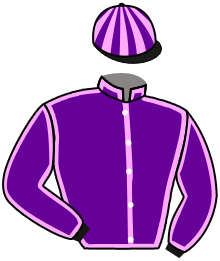 Casaque du n°3 — CHIQUININO
