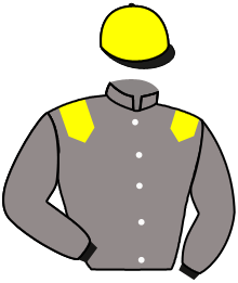 Casaque du n°5 — TEN ICE
