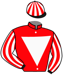Casaque du n°2 — PIONINA