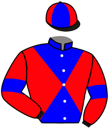 Casaque du n°1 — ROYAL ENCLOSURE