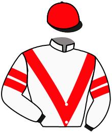 Casaque du n°4 — LUCERRA