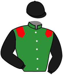 Casaque du n°2 — DANDONA