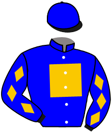 Casaque du n°9 — GRAND YAUPON