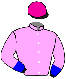 Casaque du n°2 — SIR OSCAR