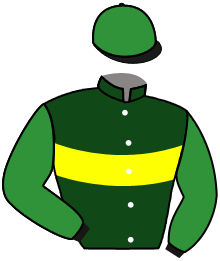Casaque du n°3 — HONOREE