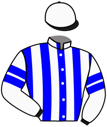 Casaque du n°6 — KINGS DANCER