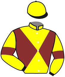 Casaque du n°11 — CHAMBERSVILLE