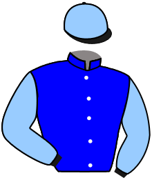 Casaque du n°11 — NEWLYN