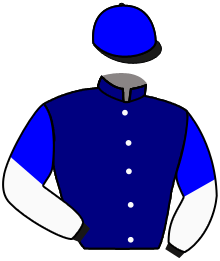 Casaque du n°13 — MCDIESEL