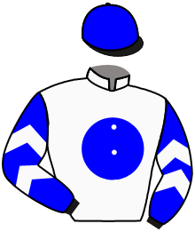 Casaque du n°14 — EGYPTIAN