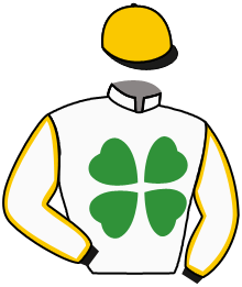 Casaque du n°2 — TWIRLING LAD