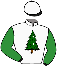 Casaque du n°7 — RIVER RIDE
