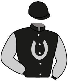 Casaque du n°1 — DAMON'S MOUND