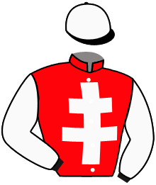 Casaque du n°2 — ABRONZAL