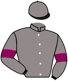 Casaque du n°3 — MAZATLAN