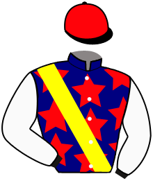 Casaque du n°11 — PRINCE LOS