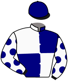 Casaque du n°2 — ADVERSARY