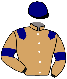 Casaque du n°12 — TIBERIANA
