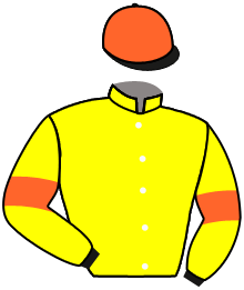 Casaque du n°12 — SPORT COUPE