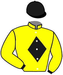 Casaque du n°7 — SILGREYPIT