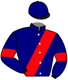 Casaque du n°1 — NOIRAUD DES GLENAN