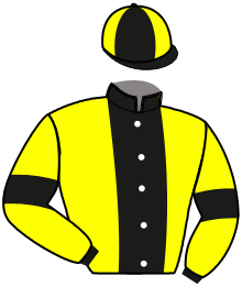 Casaque du n°10 — NOTELLA D'OR