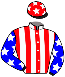 Casaque du n°1 — HAFCOCK