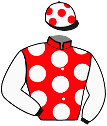 Casaque du n°4 — ILLICO DE BOUTEAU