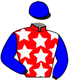 Casaque du n°8 — GAZ D'OCCAGNES