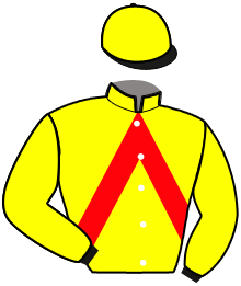Casaque du n°1 — LINGOT
