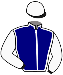 Casaque du n°11 — JAVELOT DE HOUELLE