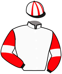 Casaque du n°7 — KOLYTA DU CHENE