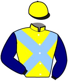 Casaque du n°10 — INFINITY JET
