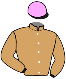 Casaque du n°4 — IRA STAR
