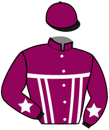 Casaque du n°3 — GOOD FELLOW
