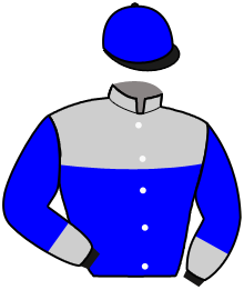 Casaque du n°3 — POSTILLION