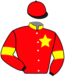 Casaque du n°7 — KRYPTON