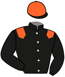 Casaque du n°2 — IRIS RENARDIER