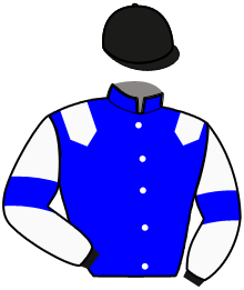Casaque du n°3 — ORFEE DANEPIERRE