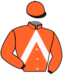 Casaque du n°9 — NIMBUS DE L'AVRE