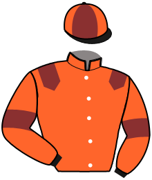 Casaque du n°4 — NINO VERO