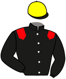 Casaque du n°7 — NEW EPATANTE